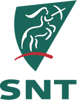 SNT_Group-logo-8130A9D2FC-seeklogo.com